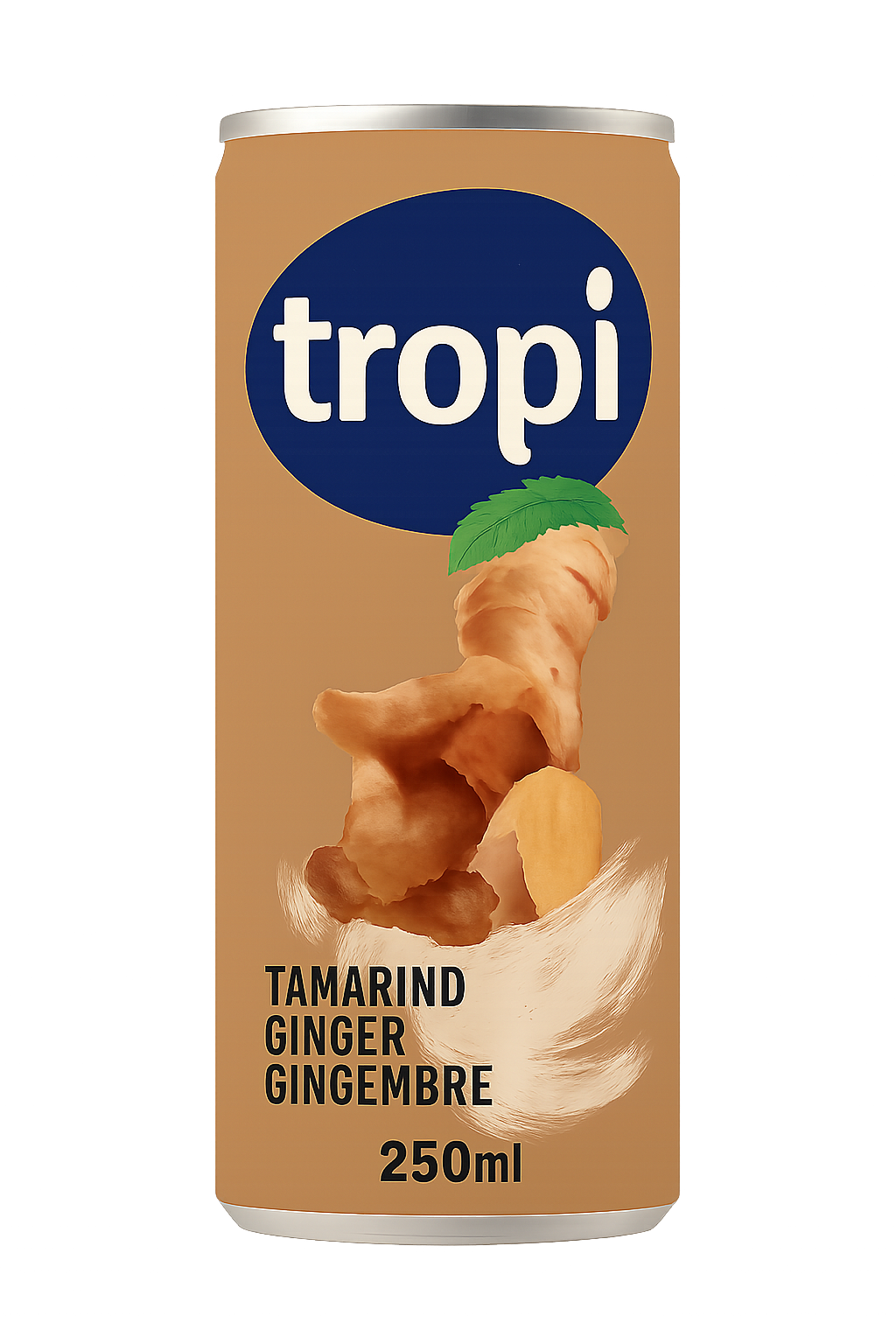 1 CARTON de Tropi Tamarin Gingembre – Jus Naturel 250ml